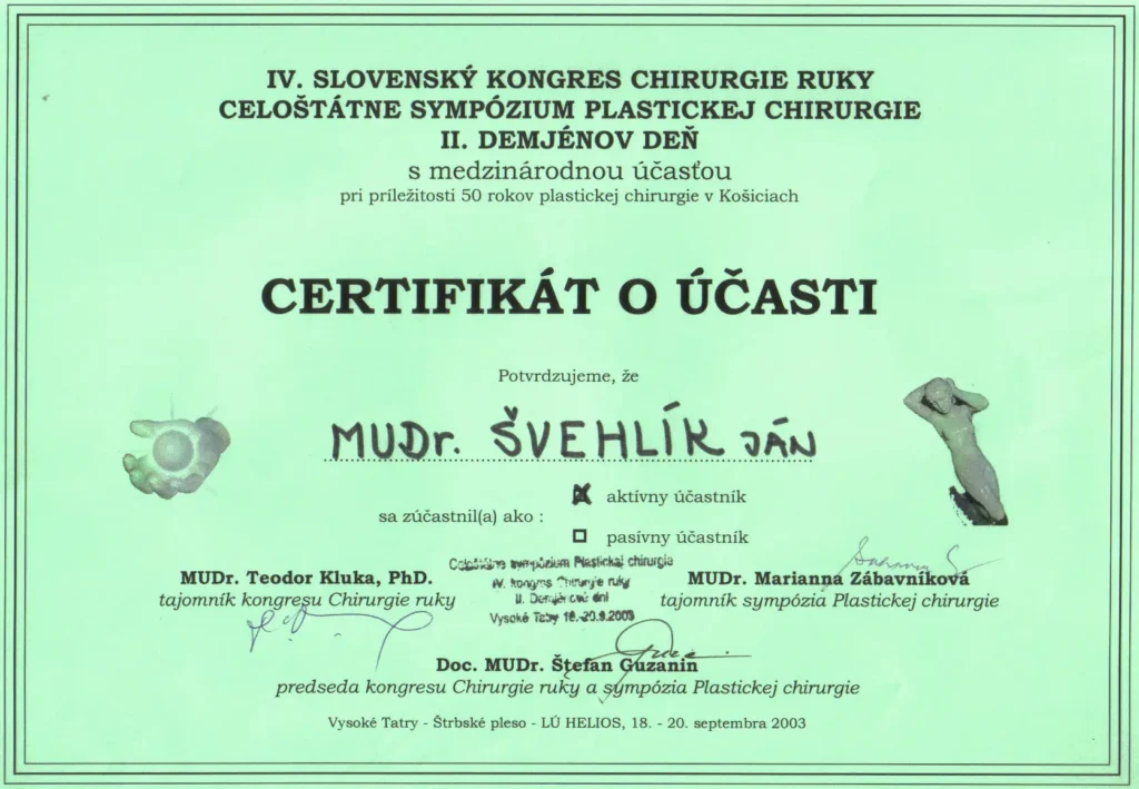 2003 Demjénov deň