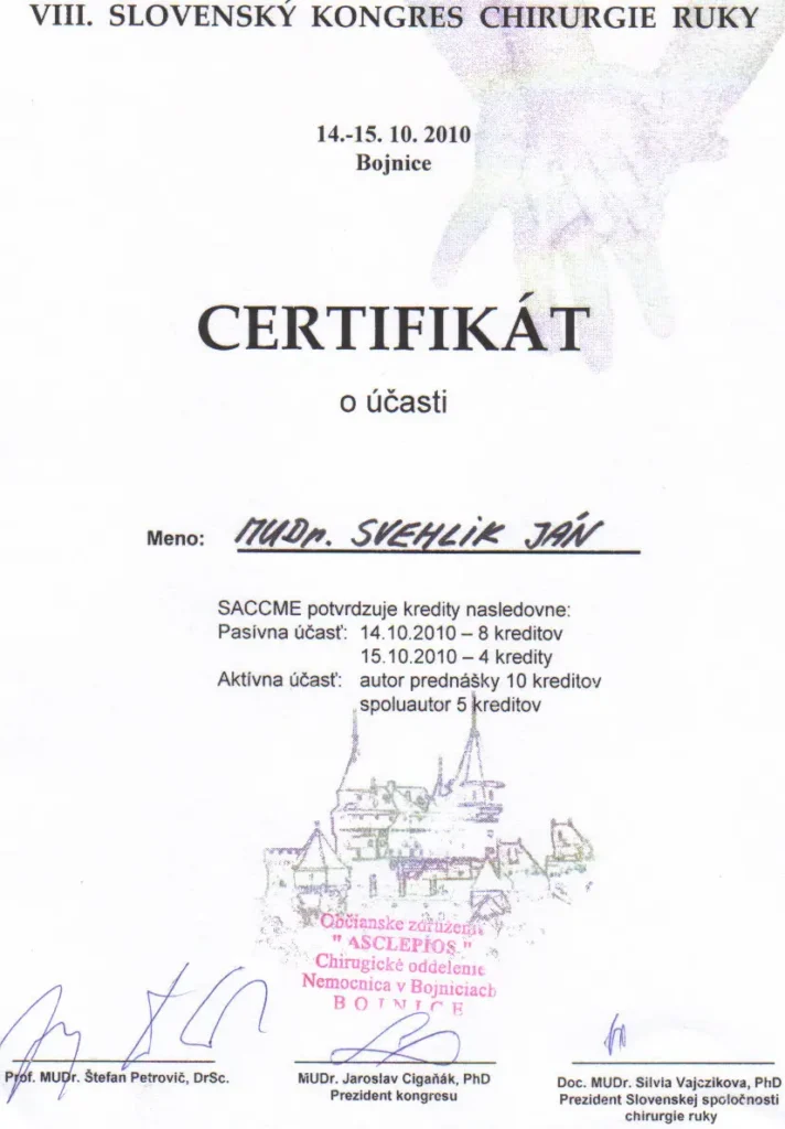 2010 Bojnice ruka