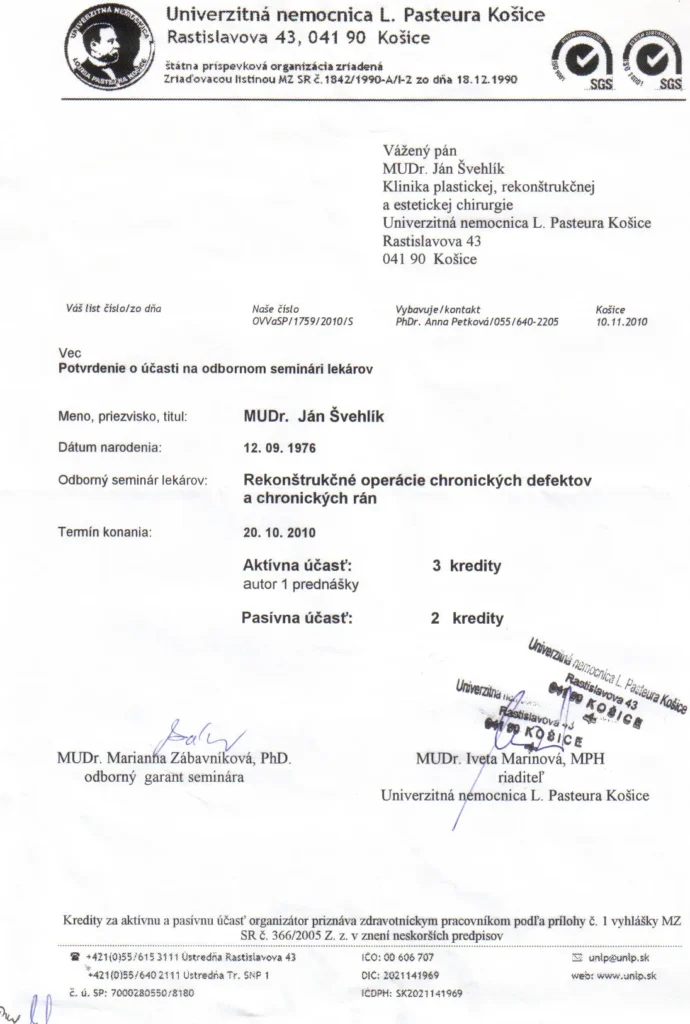 2010 Seminár Plastika