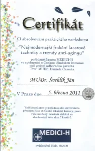 2011 Laser Praha